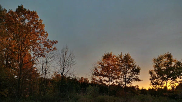 FallSunset1