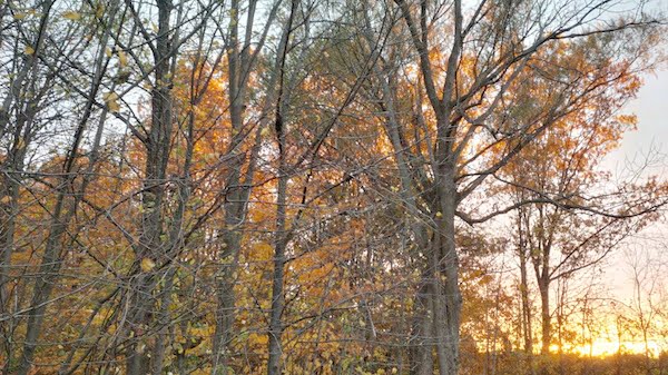 FallSunset2