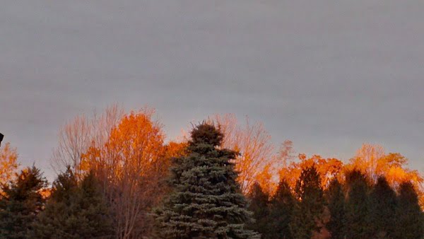 FallSunset3