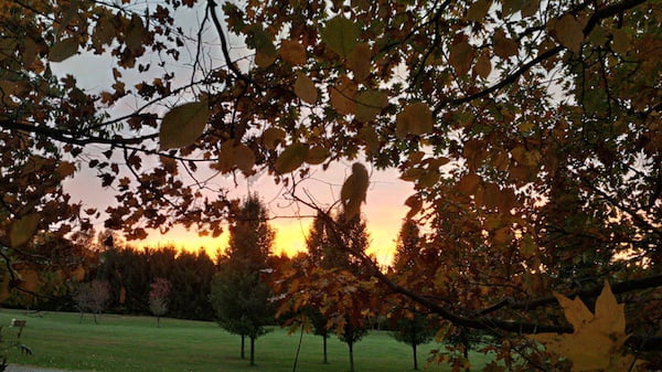 FallSunset4