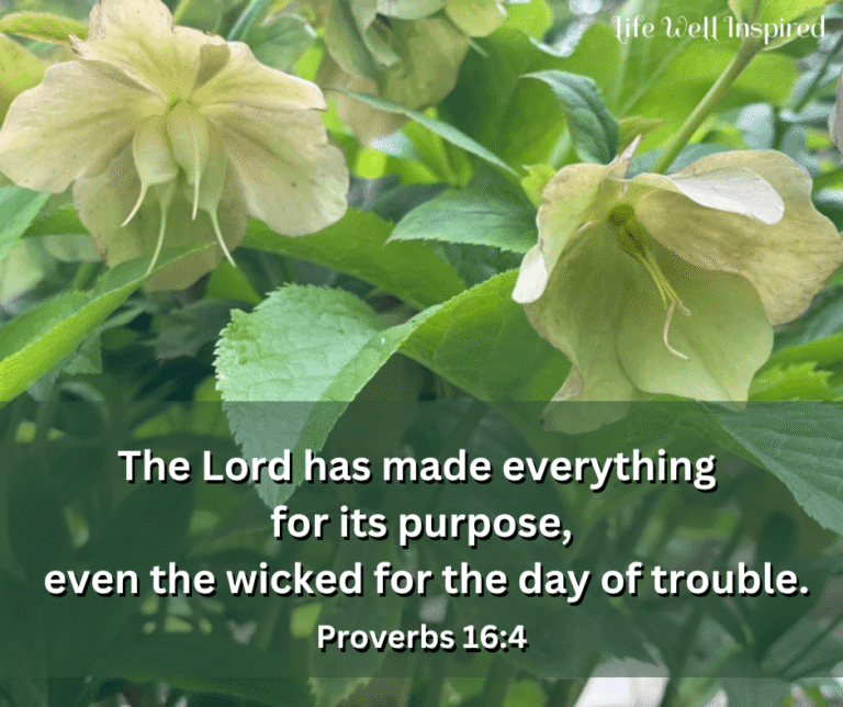 For the article: "Relationship with God Came Before Religion." This image is of two hellebore blossoms and has Proverbs 16:4 overlayed. "The Lord has made everything for its purpose, even the wicked for the day of trouble."